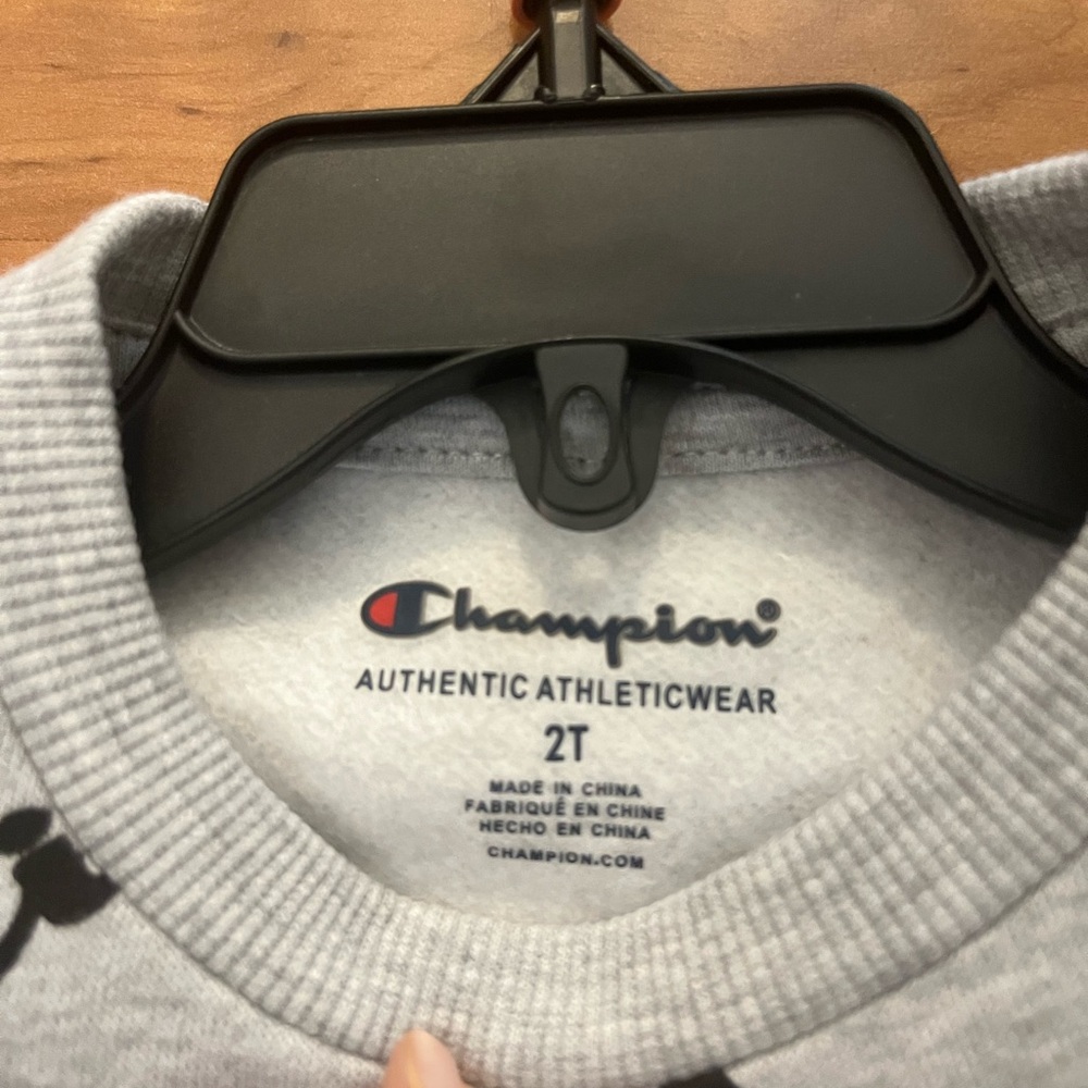 NWT 2T Champion Gray Logo Sweatshirt Crew Neck Long Sleeve - Picture 2 of 4